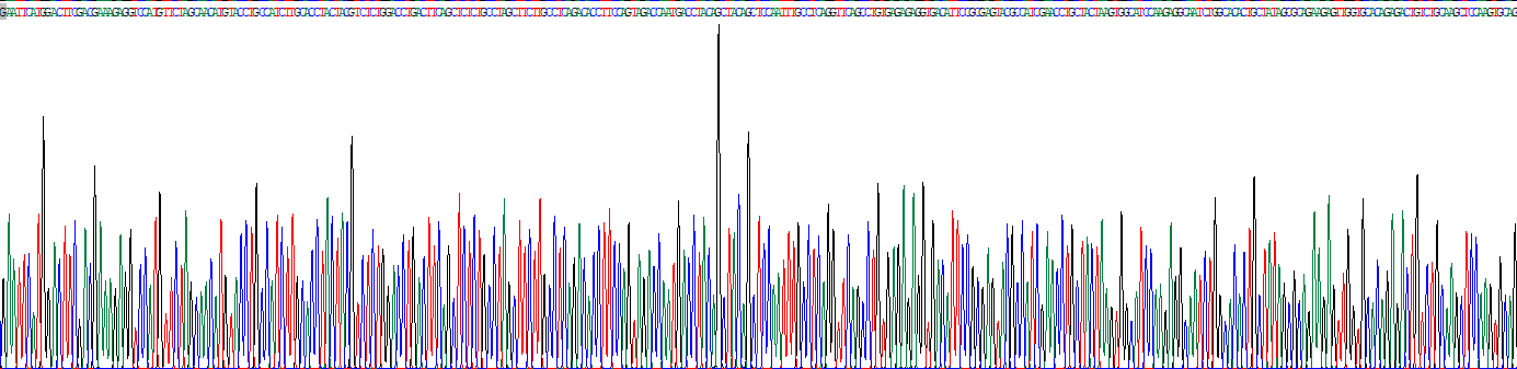 Recombinant Homeobox Protein A11 (HOXA11)