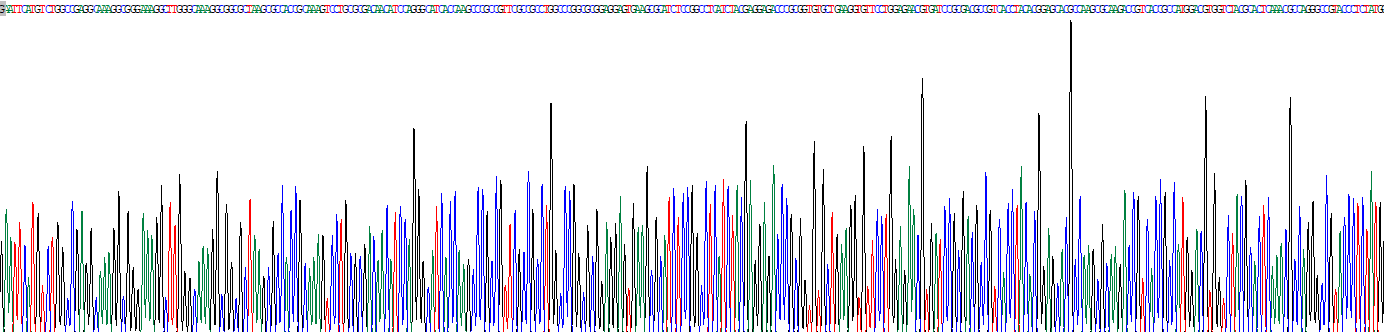 Recombinant Histone Cluster 1, H4a (HIST1H4A)