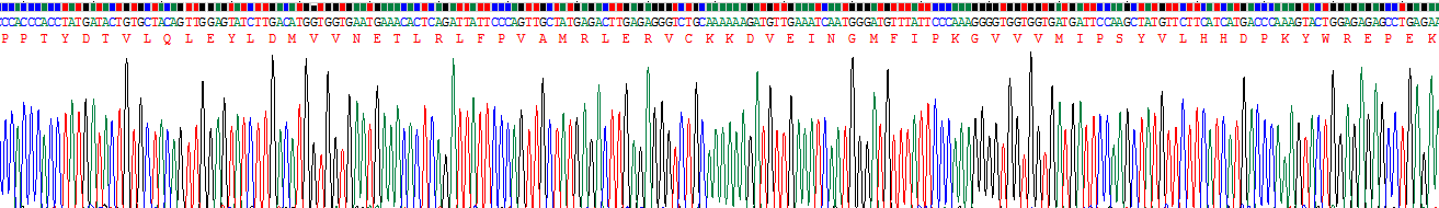 Recombinant Cytochrome P450 3A7 (CYP3A7)