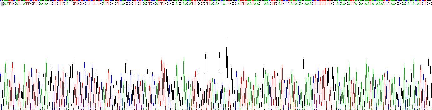 Recombinant Coupling Factor 6 (CF6)