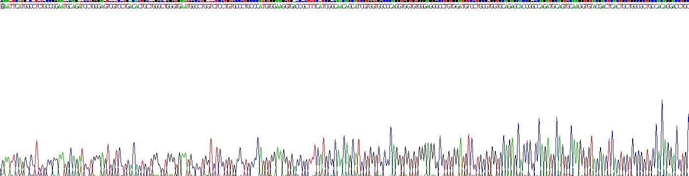 Recombinant Claudin 6 (CLDN6)