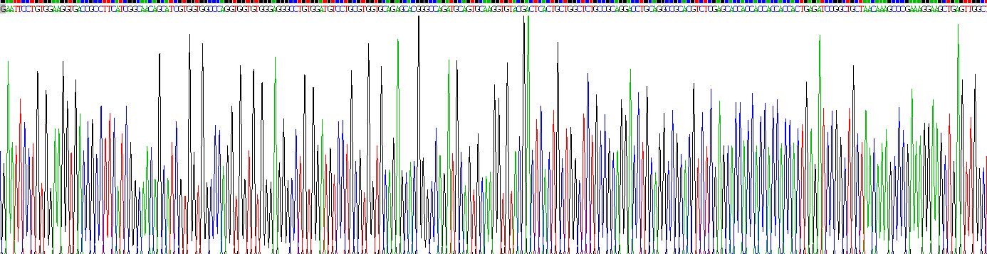 Recombinant Claudin 9 (CLDN9)