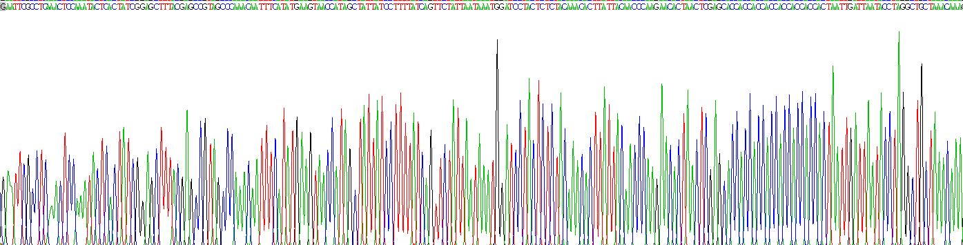 Recombinant NADH Dehydrogenase 1 (ND1)