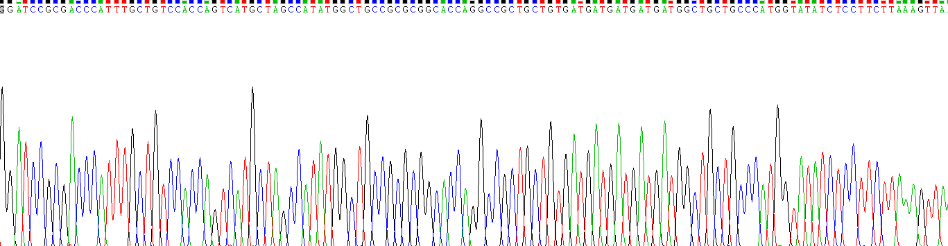 Recombinant Sperm Protein Associated With The Nucleus, X-Linked Family, Member C (SPANXC)