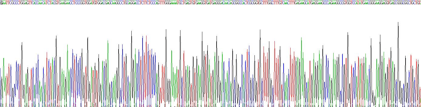 Recombinant Poly A Binding Protein Cytoplasmic 1 Like Protein (PABPC1L)