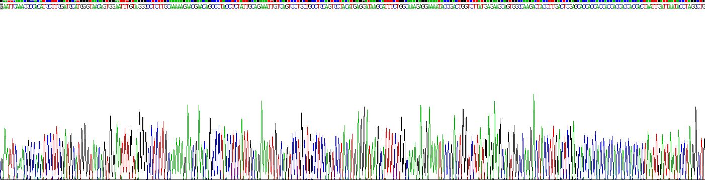 Recombinant Defensin Beta 119 (DEFb119)