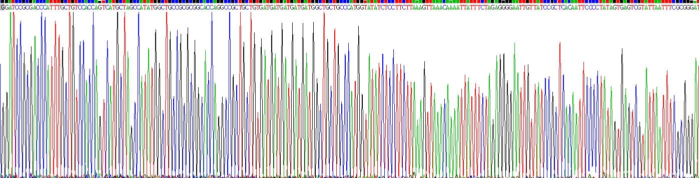 Recombinant Defensin Beta 124 (DEFb124)