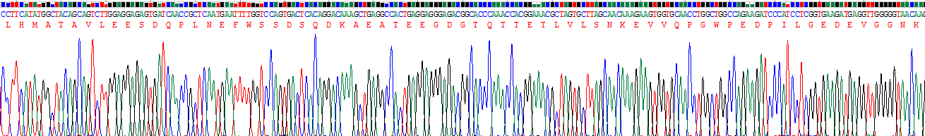 Recombinant Ribonuclease A10 (RNASE10)