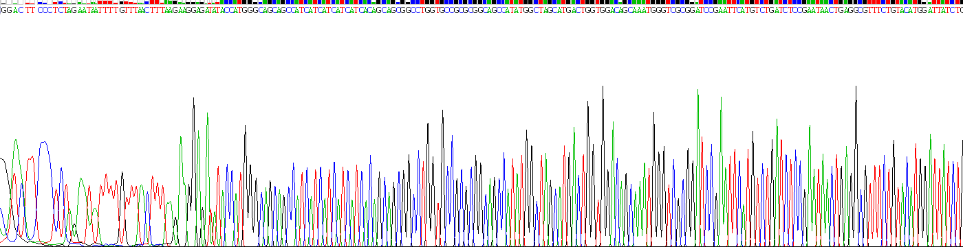 Recombinant ADP Ribosylation Factor Like Protein 15 (ARL15)