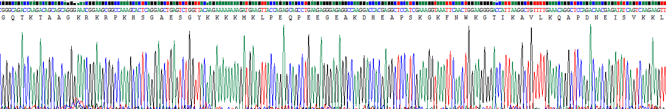 Recombinant Ly1 Antibody Reactive Homolog (LYAR)