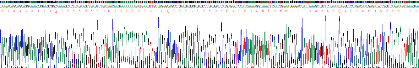 Recombinant Ly1 Antibody Reactive Homolog (LYAR)