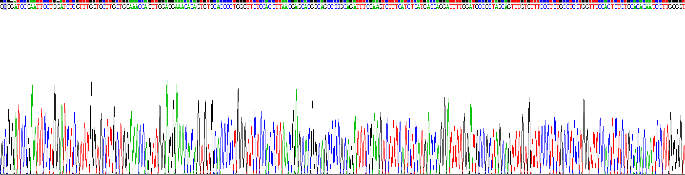 Recombinant Gamma-Secretase Activating Protein (gSAP)