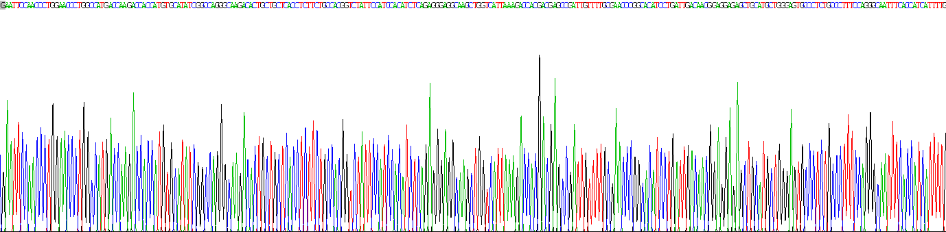 Recombinant Transmembrane Protein 2 Like Protein (TMEM2L)