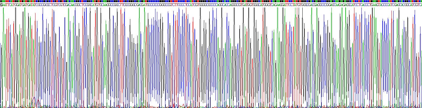 Recombinant Interferon Alpha 11 (IFNa11)