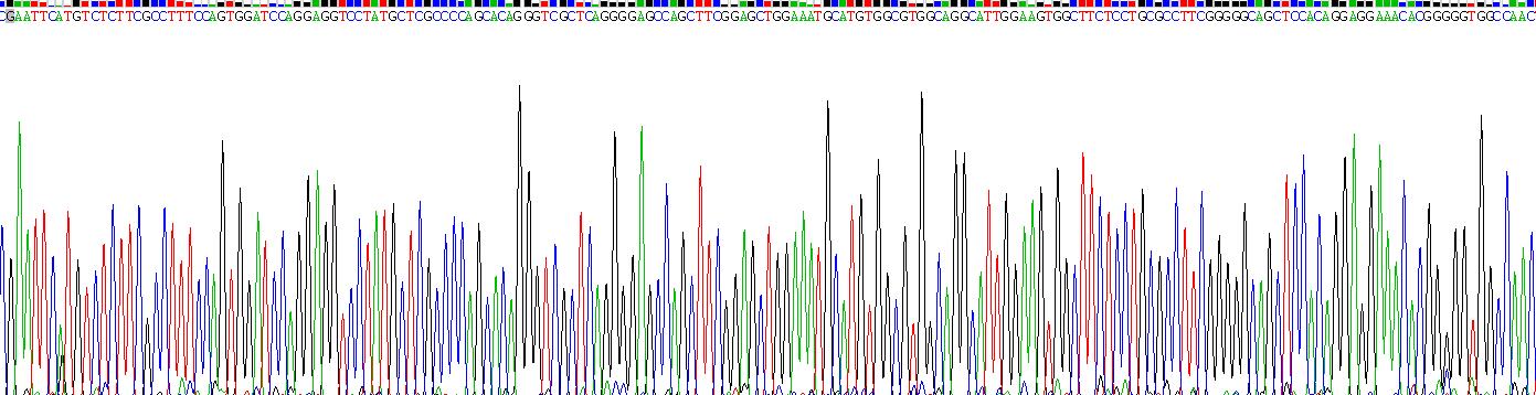 Recombinant Keratin 25 (KRT25)