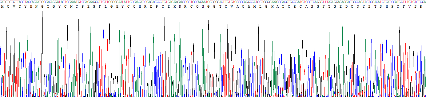 Recombinant Notch2 N-Terminal Like Protein (NOTCH2NL)