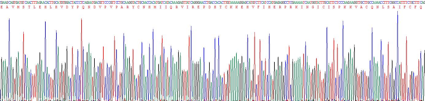 Recombinant Ribonuclease A12 (RNASE12)