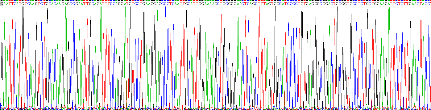 Recombinant TBC1 Domain Family, Member 13 (TBC1D13)