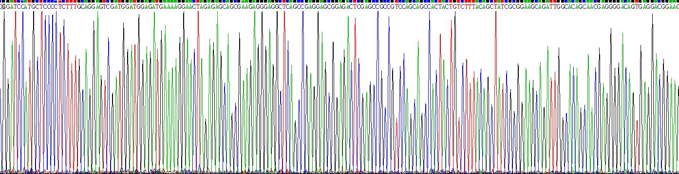 Recombinant Chromosome 17 Open Reading Frame 75 (C17orf75)