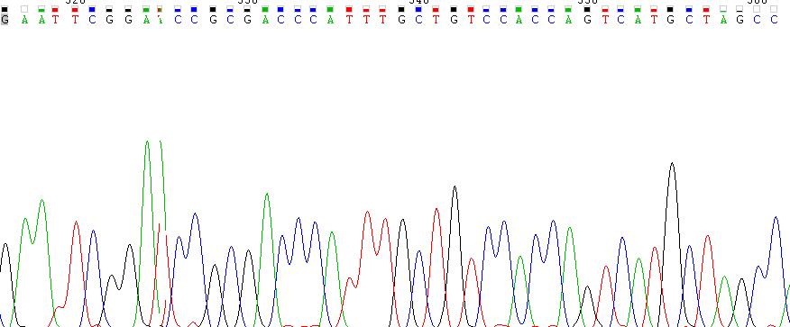 Recombinant Major Pollen Allergen Bet v 1-A (BETVIA)