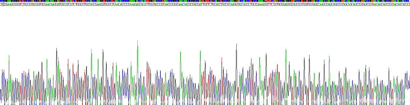 Recombinant Nucleoprotein, SARS-CoV (NP)