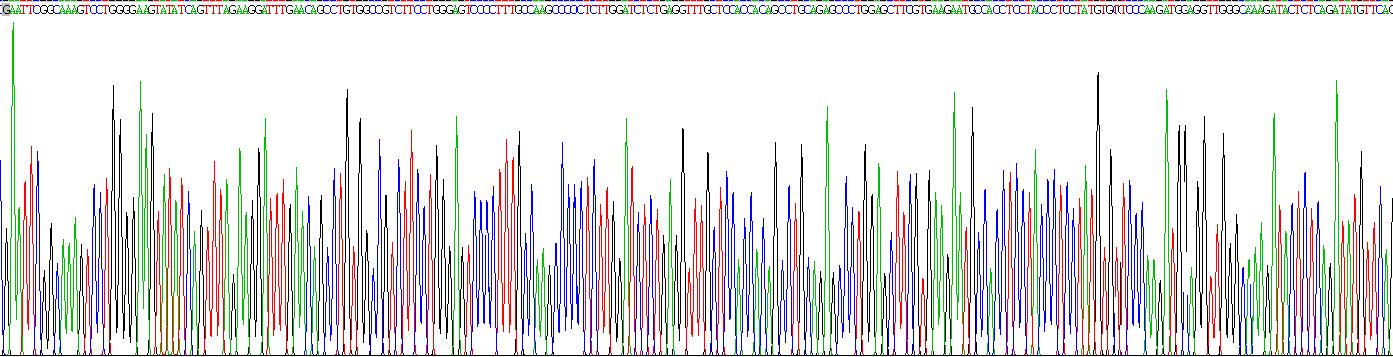 Recombinant Carboxylesterase 1C (CES1C)