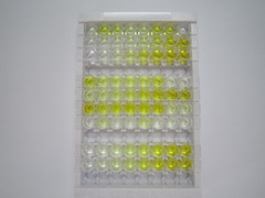 ELISA Kit for E-cadherin