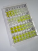 ELISA Kit for Interferon Alpha (IFNa)