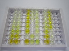 ELISA Kit for FMS Like Tyrosine Kinase 3 Ligand (Flt3L)