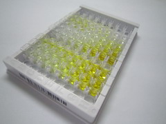 ELISA Kit for Chemokine C-X3-C-Motif Ligand 1 (CX3CL1)