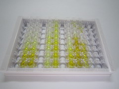 ELISA Kit for Growth Hormone (GH)