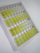 ELISA Kit for Insulin Like Growth Factor Binding Protein 1 (IGFBP1)