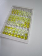 ELISA Kit for Defensin Beta 2 (DEFb2)