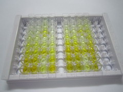 ELISA Kit for Interleukin 6 (IL6)