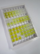 ELISA Kit for Interleukin 6 (IL6)