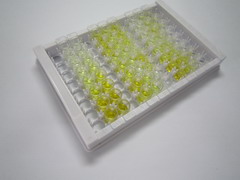 ELISA Kit for Interleukin 8 (IL8)