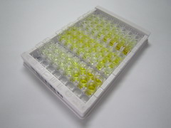 ELISA Kit for Monocyte Chemotactic Protein 2 (MCP2)