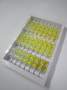 ELISA Kit for Colony Stimulating Factor 1, Macrophage (MCSF)