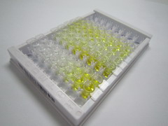 ELISA Kit for Matrix Metalloproteinase 1 (MMP1)