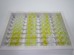 ELISA Kit for Placenta Growth Factor (PLGF)