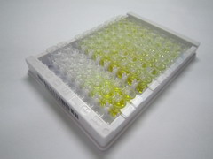 ELISA Kit for Tumor Necrosis Factor Alpha (TNFa)