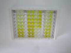 ELISA Kit for Alpha-Fetoprotein (AFP)