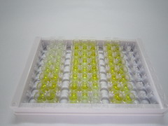 ELISA Kit for Prostaglandin E Synthase, Microsomal (PTGES)