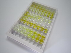 ELISA Kit for Prokineticin Receptor 1 (PKR1)