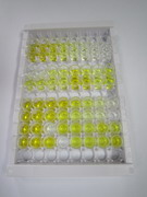 ELISA Kit for Interferon Beta (IFNb)