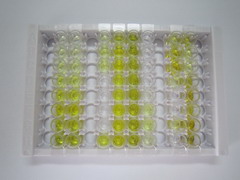 ELISA Kit for Interleukin 1 Receptor Antagonist (IL1RA)