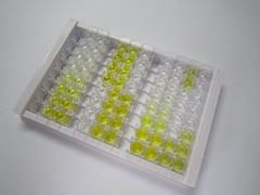 ELISA Kit for Glutathione Peroxidase 1 (GPX1)