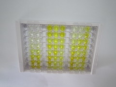 ELISA Kit for Galectin 7 (GAL7)