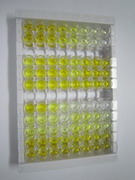 ELISA Kit for Fatty Acid Binding Protein 6, Ileal (FABP6)