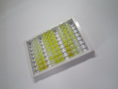 ELISA Kit for Interleukin 27A (IL27A)